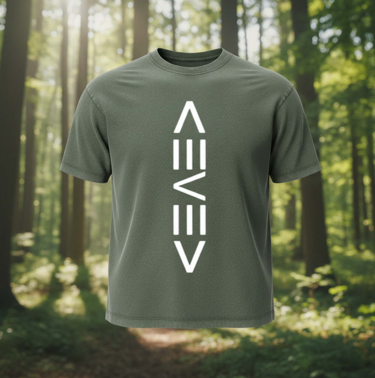 Levelz Vintage Wash Boxy T-Shirt