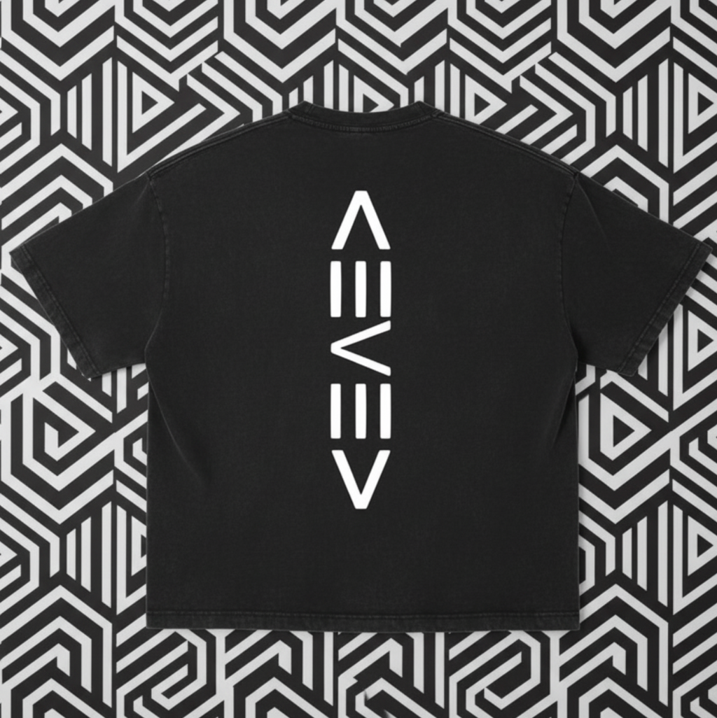 Levelz Vintage Wash Boxy T-Shirt