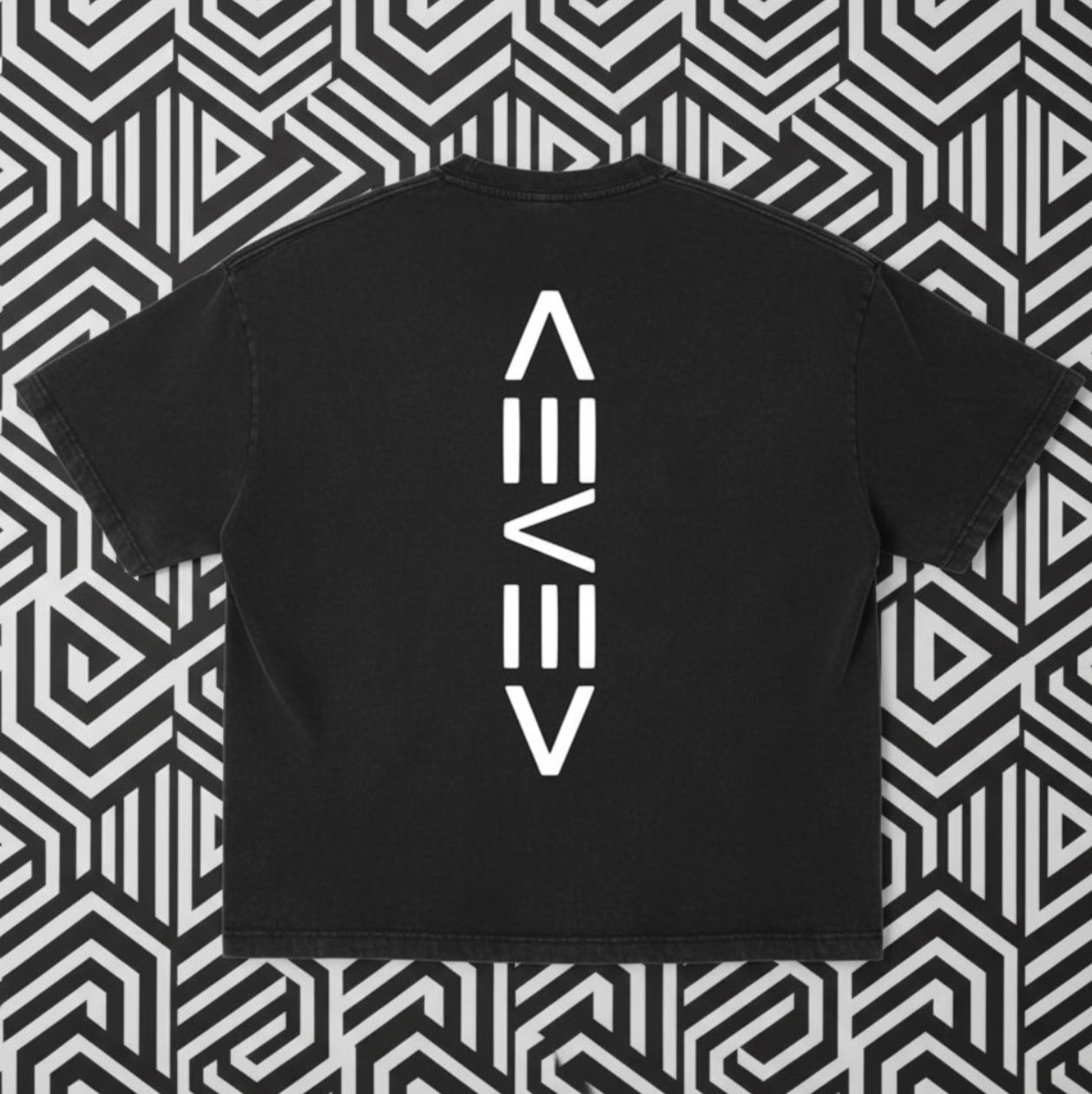 Levelz Vintage Wash Boxy T-Shirt